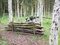 paintball erezee ardennen 1